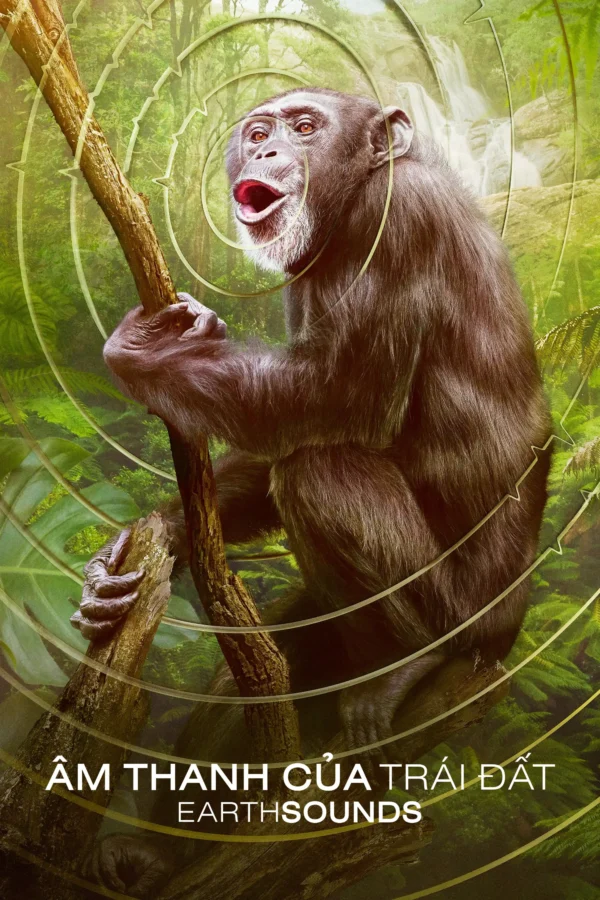 Âm Thanh Của Trái Đất – Earthsounds Earthsounds