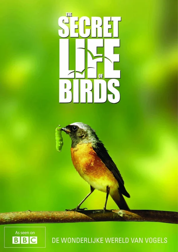 Bí ẩn cuộc sống loài chim The Secret Life of Birds