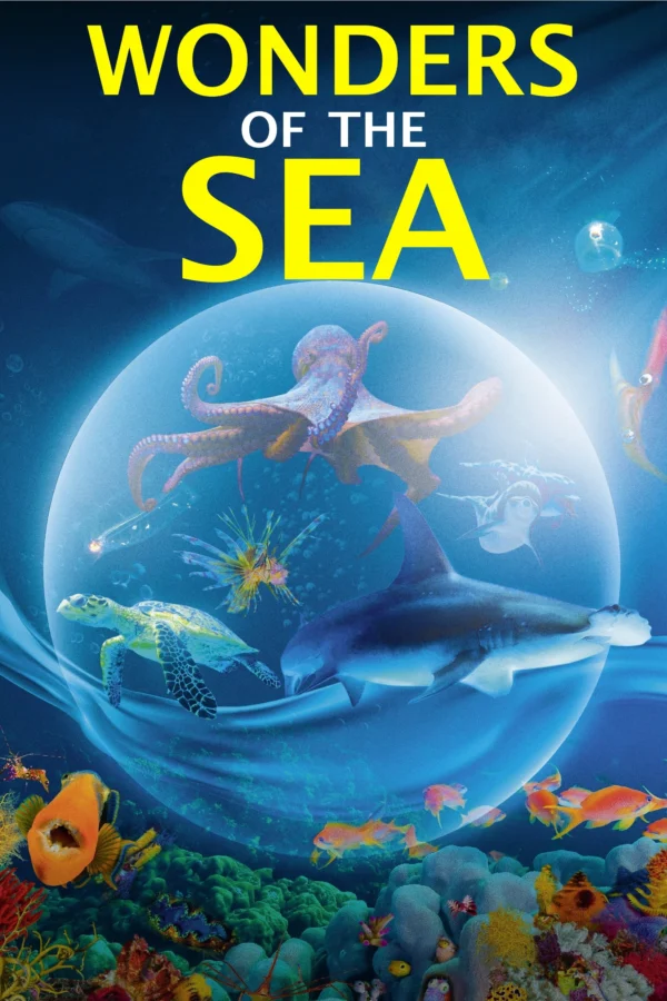 Kỳ Quan Của Đại Dương Wonders of the Sea 3D