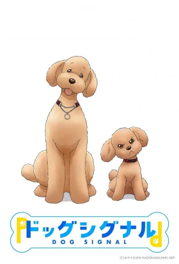 Tín Hiệu Cún Cưng Dog Signal