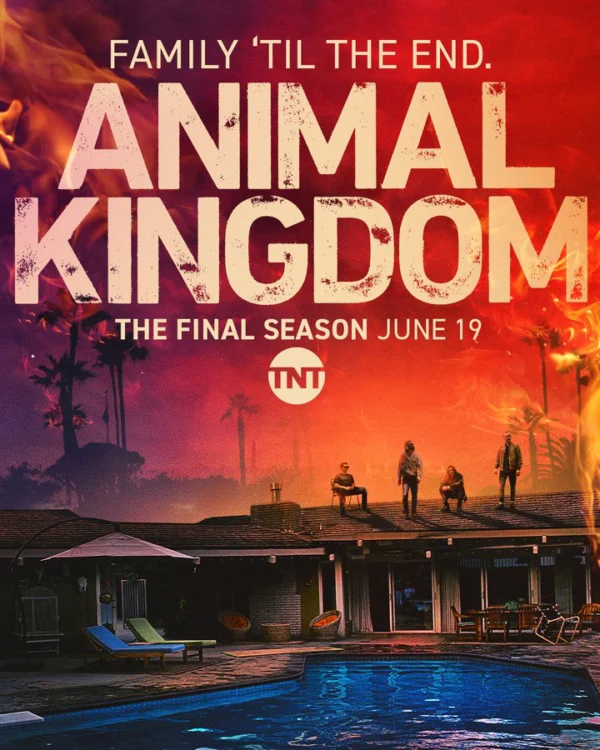Vương quốc động vật (Phần 6) Animal Kingdom (Season 6)
